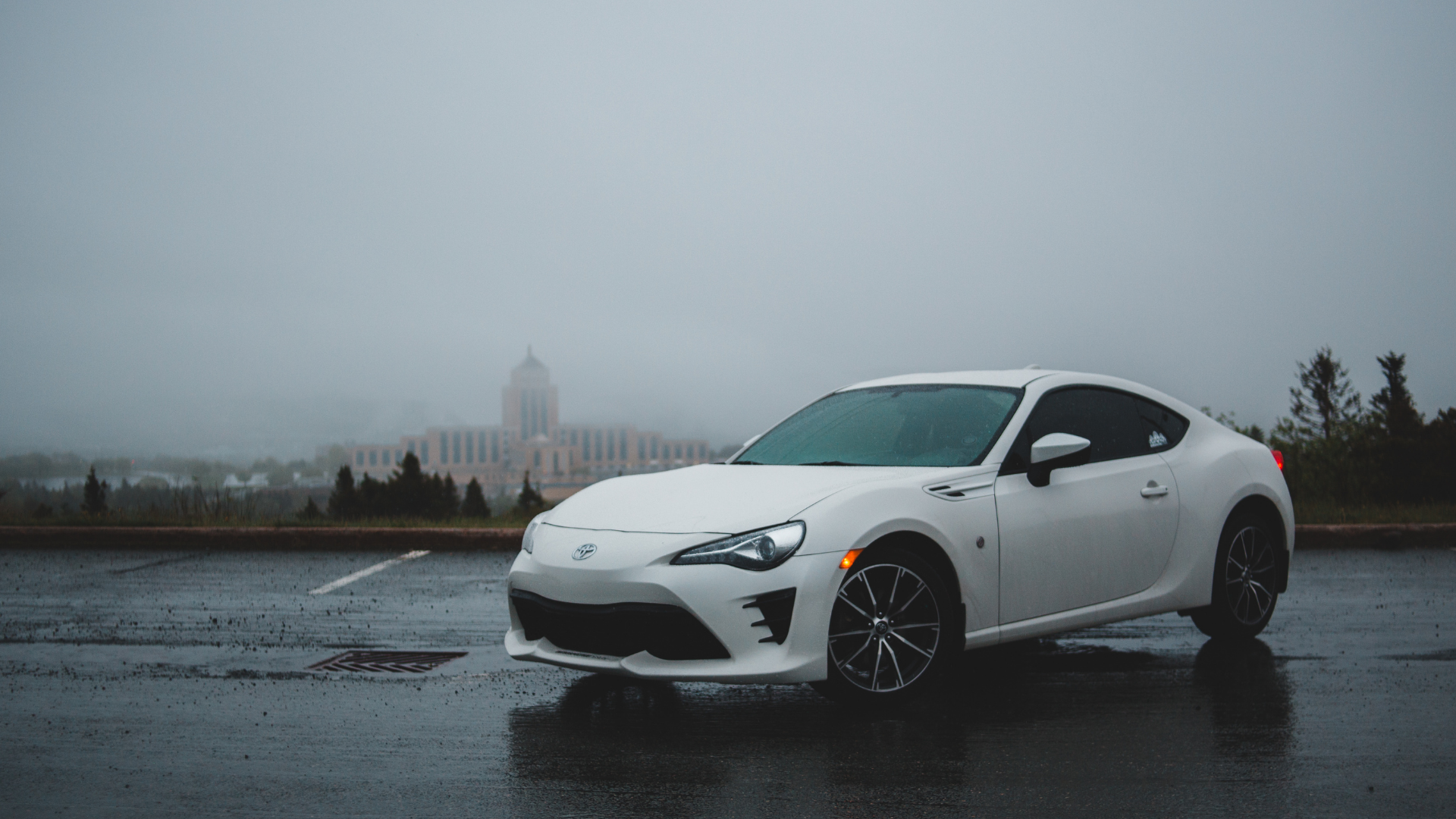 Dịch vụ thuê xe 4-7-16 chỗ uy tín tại Đồ Sơn - MlinkGo