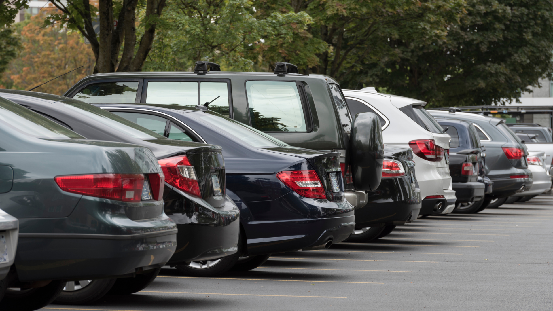 Dịch vụ thuê xe 4-7-16 chỗ uy tín tại Mỹ Sơn - MlinkGo