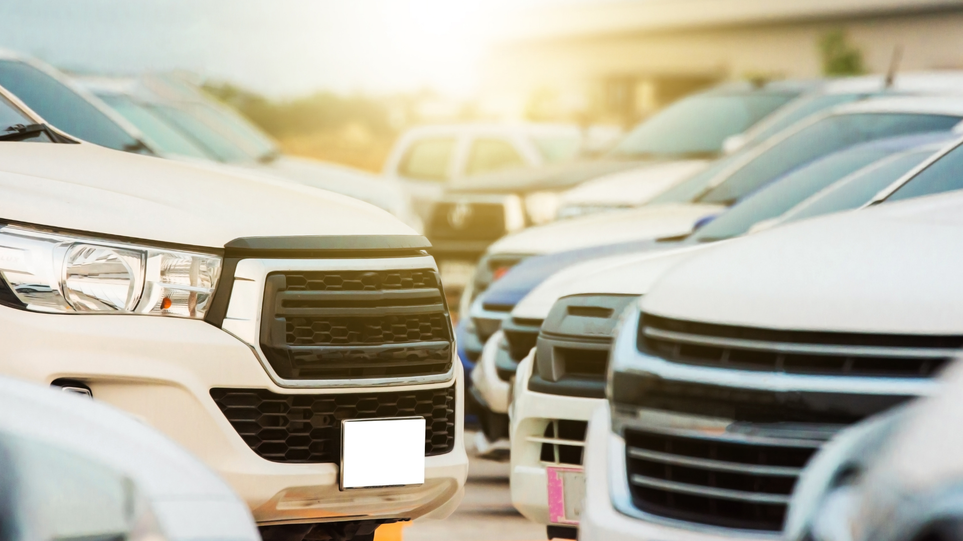 Dịch vụ thuê xe 4-7-16 chỗ uy tín tại Hải Phòng - MlinkGo